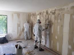 Trusted Flanders, NY Mold Prevention & Removal  Experts